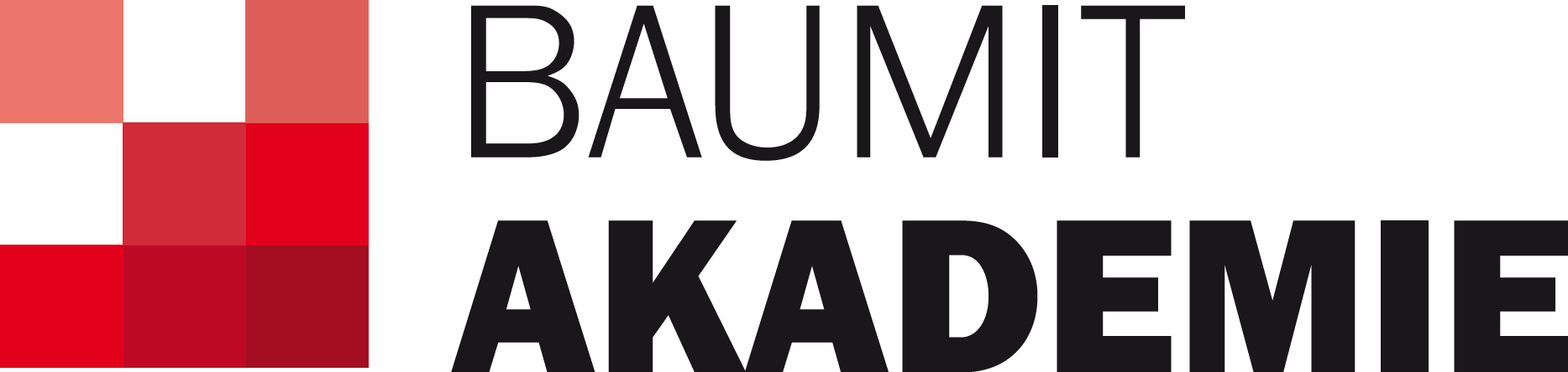 Baumit Akademie 2019
